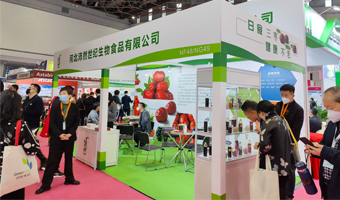 河北沛然2023上海展廳